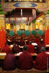 Palpung Sherabling Monastic Institution