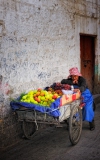 Торговка фруктами
