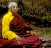 Дилго Кхьенце, один из учителей нынешнего Далай-ламы  и королевы-матери Бутана, в 1980-х годах трижды совершал  паломничество по Центральному Тибету.