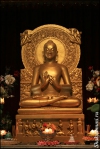 Будда в храме "Мулагандхакути Вихара"